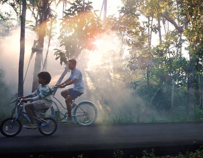 Father and son riding bikes